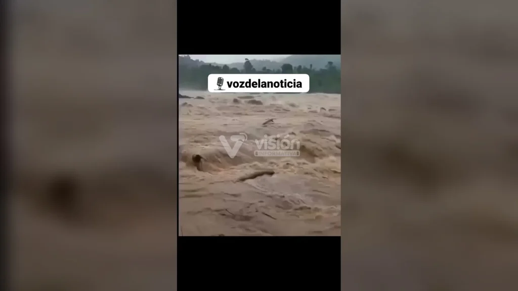 Elefante rescata a un hombre atrapado por la corriente de una inundación y provoca asombro en miles de usuarios de redes sociales.