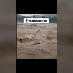 Especialistas recomiendan dar mantenimiento constante a las cámaras de monitoreo tras difundirse nuevos registros en redes.