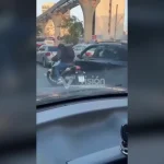 «Cómo acabar con un animal en familia»