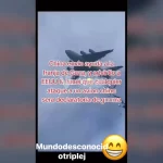 En la República Democrática del Congo, nueve mineros atrapados por un derrumbe fueron salvados tras un intenso operativo.