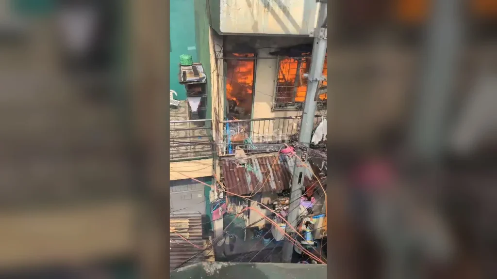 Rescatistas salvan a un canino atrapado por las llamas y evitan que sufra lesiones graves durante un incendio.
