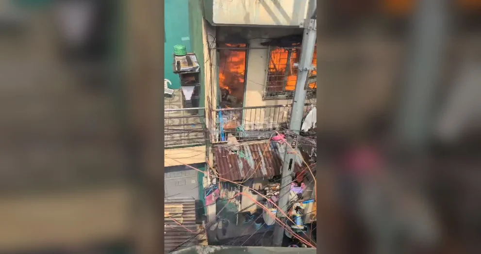Rescatistas salvan a un canino atrapado por las llamas y evitan que sufra lesiones graves durante un incendio.