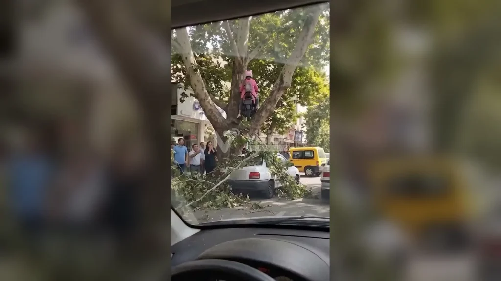 Video viral de una mujer y su motocicleta en la copa de un árbol genera intenso debate en redes sobre el uso de IA.
