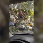 31K views · 131 reactions | #ANGASMARCA: 🚨¡DISPARAN A JOVEN EN EL INICIO DE LA FIESTA PATRONAL #SantaRosaDeLima ! En horas de la madrugada de hoy, aproximadamente a las 2:00 a.m., un joven de apellido Rodríguez resultó herido de bala en el inicio de las actividades por la fiesta patronal del distrito de Angasmarca, provincia de Santiago de Chuco, región La Libertad. Según información preliminar, el ataque habría sido perpetrado por sujetos naturales del caserío de Ingacorral, quienes, de acuer