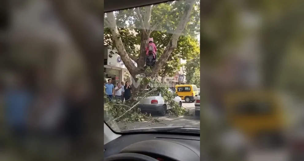 Video viral de una mujer y su motocicleta en la copa de un árbol genera intenso debate en redes sobre el uso de IA.