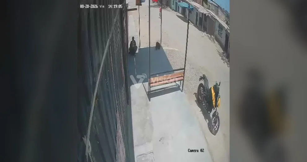 Bus de transporte público arrolla a ciclista y este logra salvarse de morir aplastado bajo las ruedas.