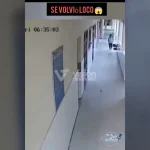 En Puente Piedra, hallan a una recién nacida dentro de una maleta y la Policía busca a los responsables del abandono.