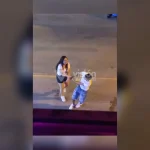 Bus de transporte público arrolla a ciclista y este logra salvarse de morir aplastado bajo las ruedas.