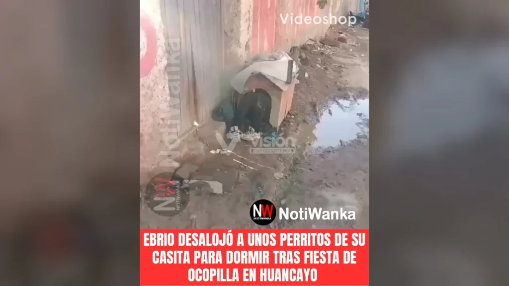 Agentes de Serenazgo intervienen a un sujeto ebrio que invadió la caseta de unos perros para quedarse dormido durante la mañana.