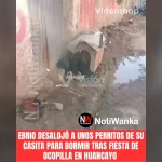 Cámaras de seguridad registraron el robo de zapatillas y un celular por parte de una presunta red de tenderas.